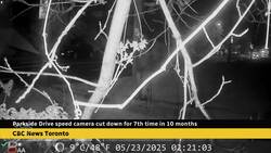 Parkside Drive speed camera cut down for 7th time News Clip