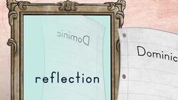 Reflections Instructional Video