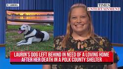 Jeopardy! Star Laurin Bell’s Shocking Farewell - Heart-Wrenching Social Media Suicide Note Revealed News Clip