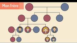 French family vocabulary - French vocabulary 6 Instructional Video