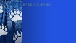 Bear cub roams Nyack, sparking safety warnings News Clip