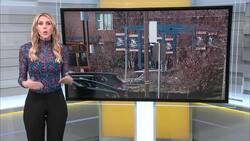 Nassau Community College professors appeal court ruling on college's consolidation efforts News Clip