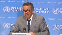 WHO head updates on virus outbreak News Clip