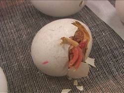 Los ciclos de los seres vivos: introducción Instructional Video