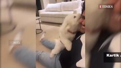 Kartik Aaryan purchases apartment worth whopping Rs 17 crore in Juhu: Report News Clip