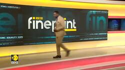 Germany: Europe's Most Expensive Christmas Tree Is Made Of Gold | WION Fineprint Instructional Video