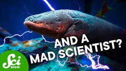 I’m A Genetic Engineer. I’m Also a Fish. Instructional Video