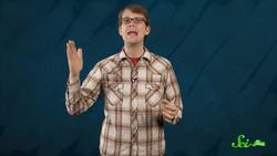 The Coolest Birds on Earth | A SciShow Compilation Instructional Video