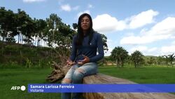 VOICED : Escultura de vulva gigante impulsa debate sobre género en Brasil News Clip