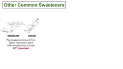 Absorption and Metabolism of Sugar Substitutes (Artificial Sweeteners) | Aspartame, Sucralose, Etc. Instructional Video