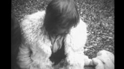 A Walk in The Woods, 1969 Stock Footage