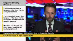Record number of Canadians report 1st language other than English or French, census shows News Clip