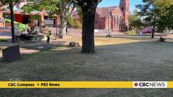 Councillors retroactively balk over Charlottetown spending $4.8M on park it doesn’t control News Clip