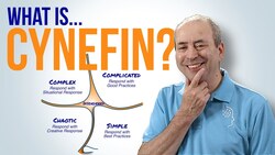 What is Cynefin? What is the Cynefin Framework? Instructional Video