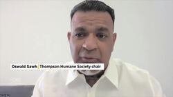 New program lets northern Manitoba animal shelter vaccinate cats and dogs News Clip