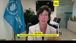 'Single storm' could push thousands of Haitians into hunger, WFP warns as hurricane season begins News Clip