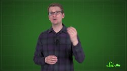 Is Science Reliable Instructional Video