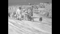 Bob Bartlett's crew makes it to camp with help from Eskimos with dog sleds News Clip