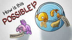 The Freshwater Paradox Instructional Video