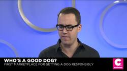Good Dog Raises Millions to Create an Ethical Marketplace for Getting a Dog News Clip