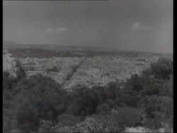 Allied troops in action, North Africa, bombardments, tracks and planes stuck in the mud 1940s Stock Footage