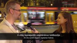 Easy Hungarian 1 - Where do you want to travel? Instructional Video