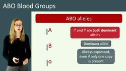 Understanding ABO Blood Groups and Alleles Instructional Video