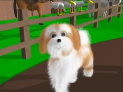 Introduction to the Four Tones in Mandarin Instructional Video