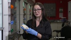 Newfoundland blob mystery solved — maybe News Clip