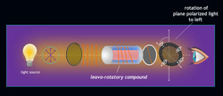 Optical Activity: When Light Meets Molecules Instructional Video