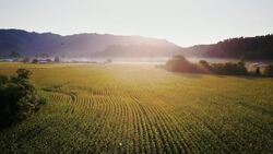 Drone Flight Over Oregon and the Cascade Range of the Pacific Northwest Instructional Video