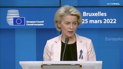 EU leaders rebuff Spain's pleas for market reform to curb electricity prices News Clip