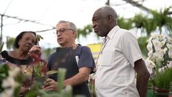 Mature African Couple Customer Buying at Flower Market Stock Footage