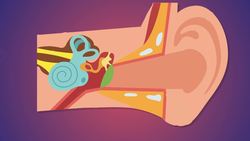 Why Do We Get Dizzy? Instructional Video