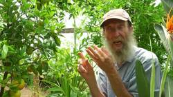 "Exploring the Impact of GMOs: Insights from Alan Kapuler Instructional Video