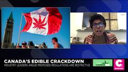 Proposed Regulations On Edibles Give Canada's Black Market More Opportunity News Clip