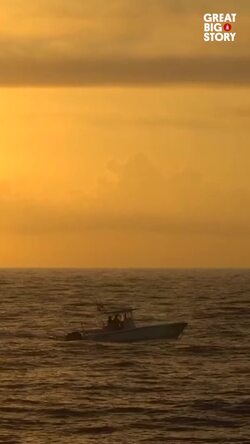 Tracking giants, the groundbreaking shark expedition in the western gulf Instructional Video