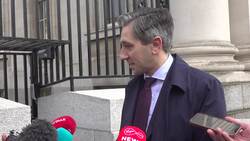 Tanaiste likens opposition comments on changes to Dail rule to behaviour in a 'creche' News Clip