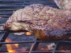 Introduction to Nutrition Basics Instructional Video