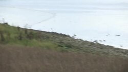 Nature at RSPB Rainham Marshes News Clip