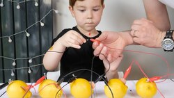 How to Make a Lemon Battery Instructional Video