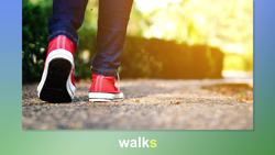 Language Function and Construction: Using Verbs and Verb Phrases, Part 2 Instructional Video