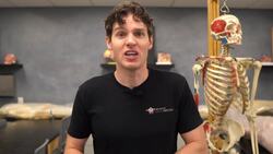 The Amazing Functions of Bones: A Deep Dive into Bone Tissue Instructional Video