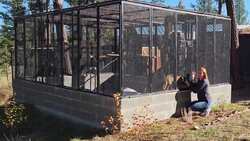 An Aviary For The Animals! Instructional Video