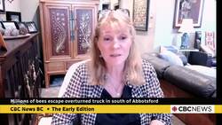 Millions of bees escape overturned truck south of Abbotsford News Clip