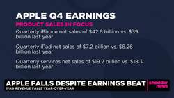 Earnings Breakdown: Apple Tops Estimates but iPhone Sales Disappoint News Clip