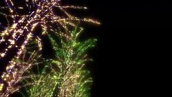 Neon Tree illumination Stock Footage