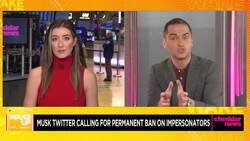 Elon Musk Calls for Twitter Ban on Impersonators News Clip