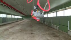 CLEAN : In France's Vendee region, farmers are resigned to the inevitable measures against bird flu News Clip