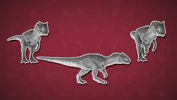 I WONDER - How Big Was The Allosaurus? Me Pregunto - Qué Tamaño Tenía El Allosaurus? Instructional Video